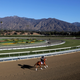 Illustration for article titled 29th Horse Dies At Santa Anita One Day After Officials Tell Track To Stop Holding Races